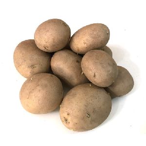 Chipsona 3 Potato