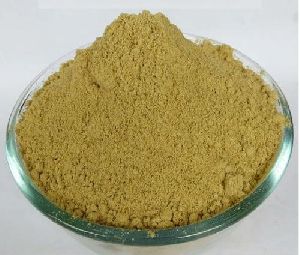 Moringa Seed Powder