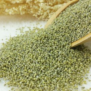 Green Millet Seeds