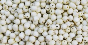 Lotus Seeds