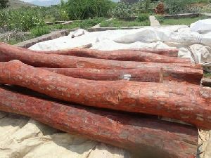 Red Sandalwood Logs