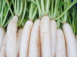 Radish