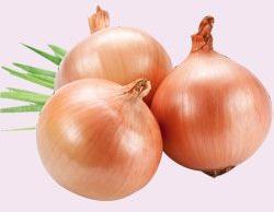 Organic Onion