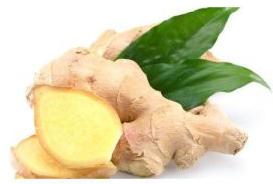 Fresh Natural Ginger