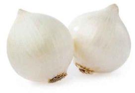 Fresh White Onion