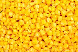 Sweet Corn