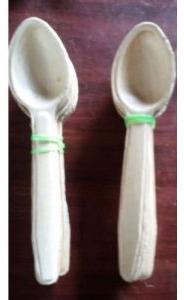 Biodegradable Areca Spoon