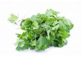 Fresh Coriander