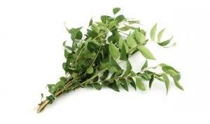 Fresh Curry Leaves