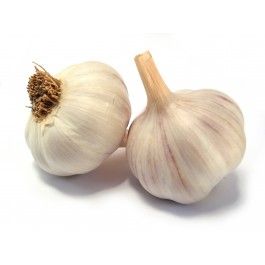 Fresh Garlic