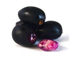 Fresh Jamun