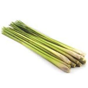 Fresh Lemongrass