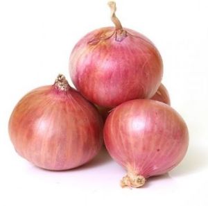 Fresh Pink Onion