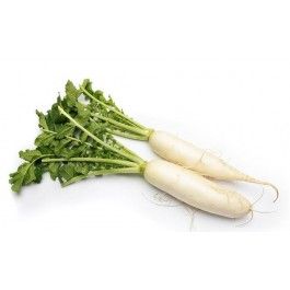 Fresh Radish