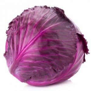 Fresh Red Cabbage