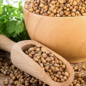 Coriander Seeds