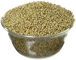 Green Pearl Millet Seeds