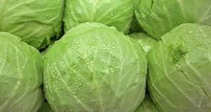 Fresh Cabbage