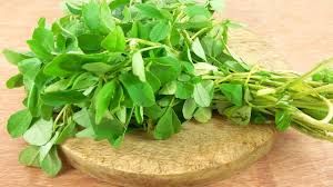 Fresh Fenugreek Leaves