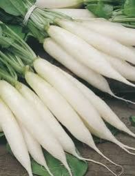 Fresh Radish