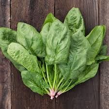 Fresh Spinach