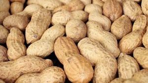 Shelled Peanuts