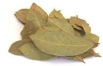 Dried Bay Leaves