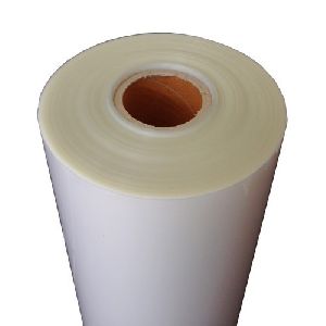 White Polyester Film