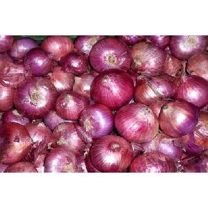 Natural Red Onion