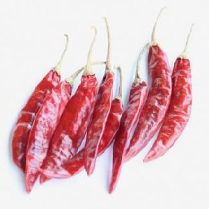 Guntur Sannam Dry Red Chilli