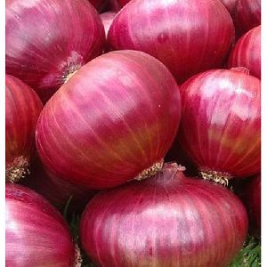Nashik Red Onion