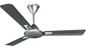 Ceiling Fans