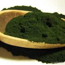 Dried Spirulina Powder