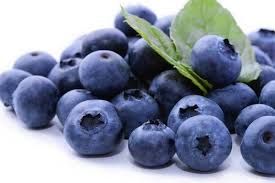 fresh blueberries