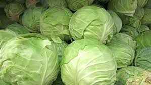 Fresh Cabbage