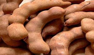 Natural Tamarind Pods