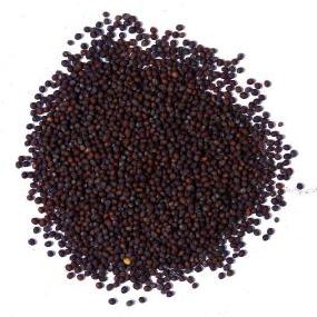 Black Mustard Seeds