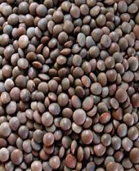 brown masoor dal