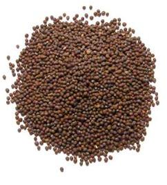 Brown Mustard Seeds