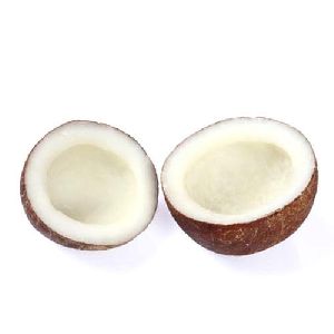 Dried Copra Coconut