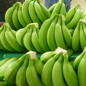 Fresh Green Banana