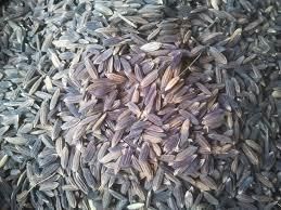 Black Rice Grain