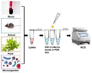 Animal Tissue Direct PCR_100 Samples per pack