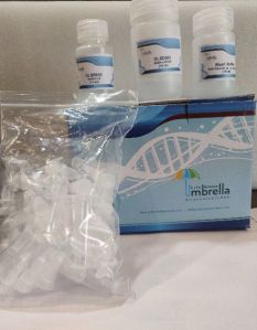 FFPE DNA Isolation Kit_50 Samples Per Kit