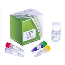 Tissue Direct PCR Kit