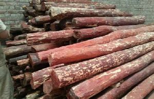 Red Sanders Wood