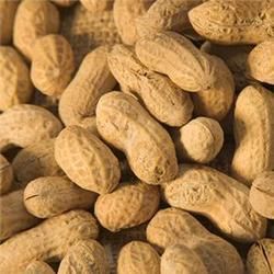 Whole Groundnut