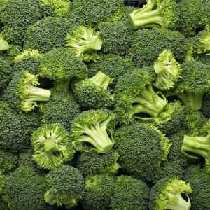 Fresh Broccoli