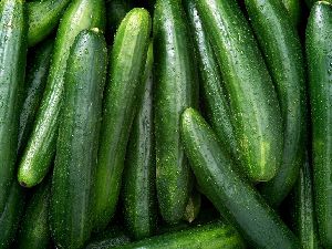 Fresh Cucumber