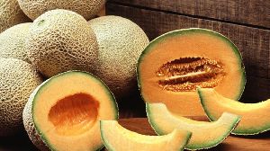 Fresh Muskmelon